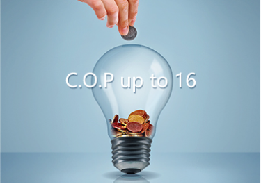 COP 16