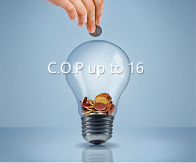 COP16
